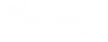 Bottega di console - home page